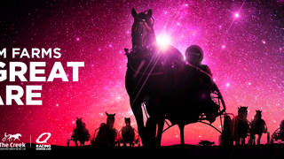 The Great Square returns to heat up winter in 2026